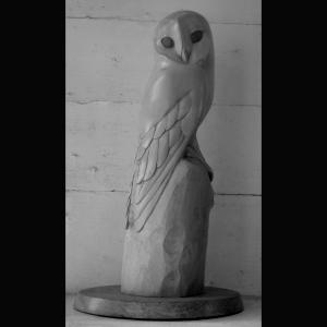 Barn owl Sycamore with eyes in teak